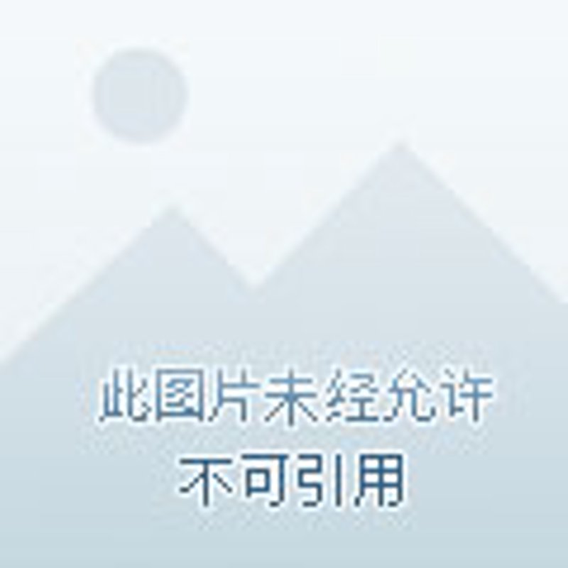 招聘代理:轻松解决企业用人难题的利器